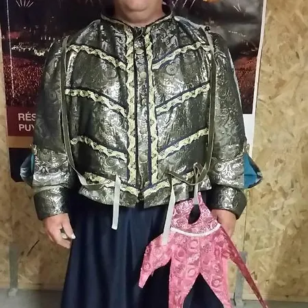 Chez Les J-folais - 3 Kms Puy Dufou - Bed & Breakfast 3*